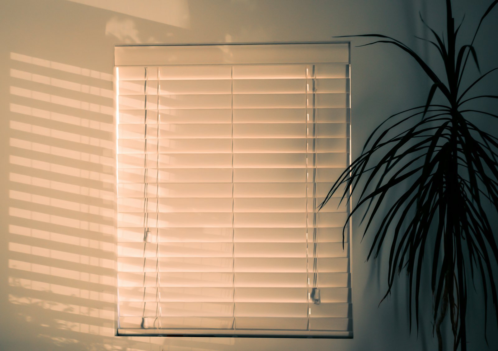 Warm light passing through closed window blinds